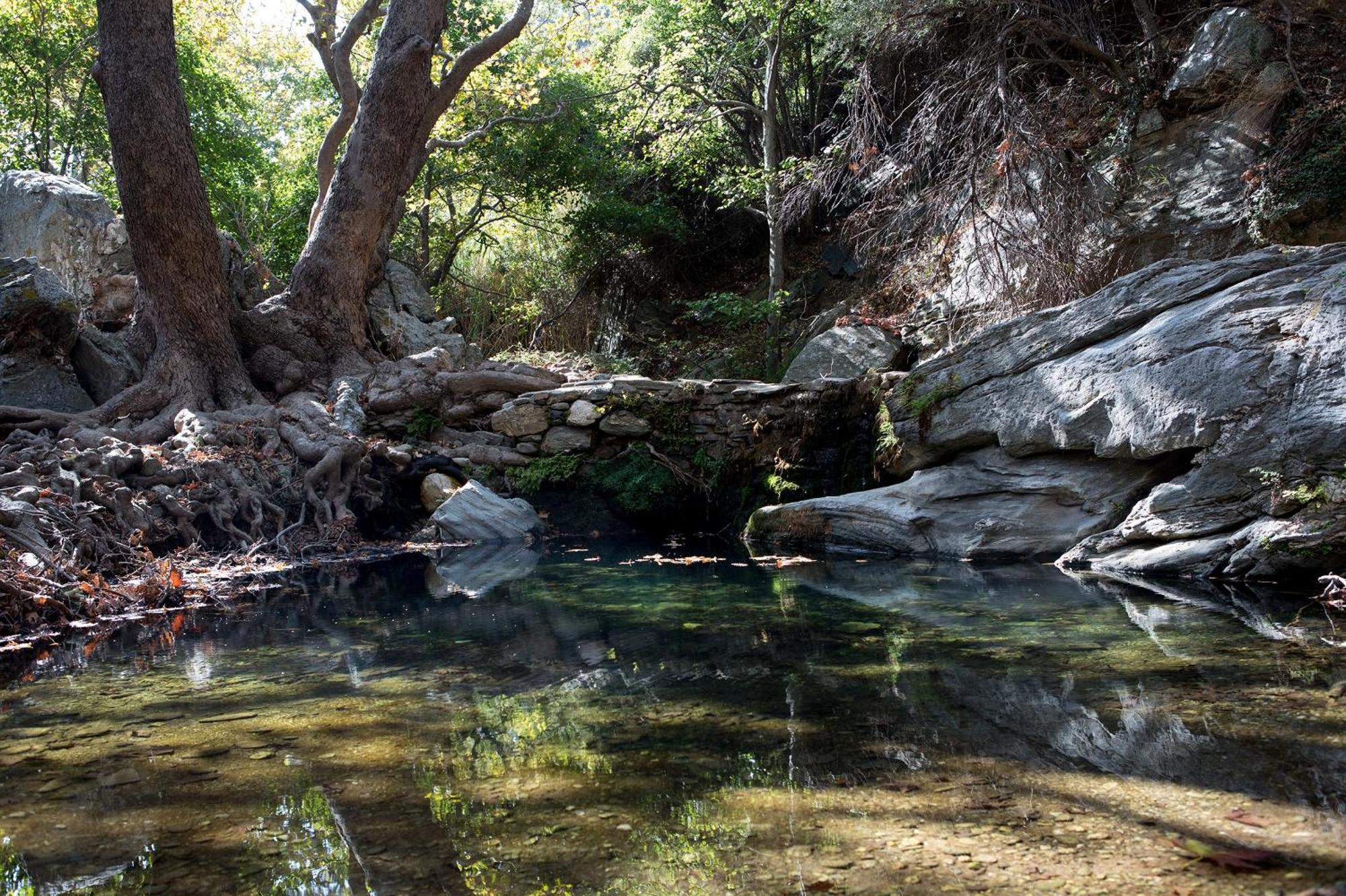 Affittacamere Onar Andros Achla Esterno foto
